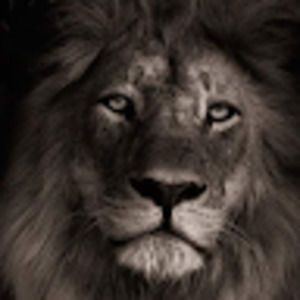 Meet your Posher, Fernando